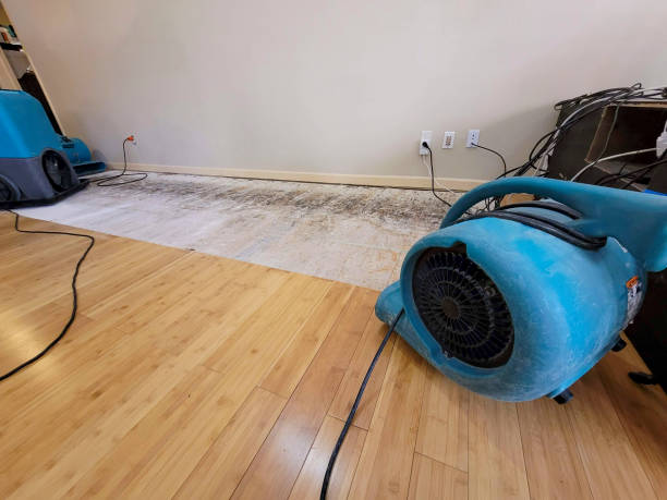 Professional Flood Damage Cleanup technician working in Braham, MN